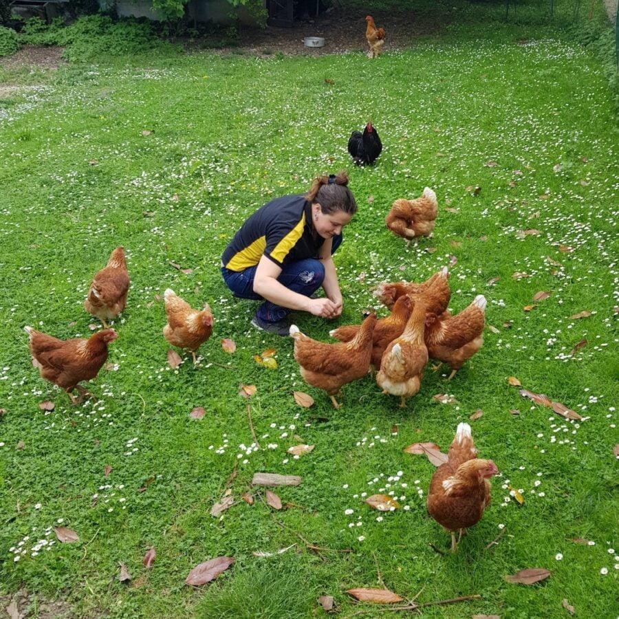 La chef Eleonora in compagnia delle galline del 38° parallelo